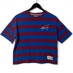 Tommy Hilfiger Blue and Purple Striped Tee